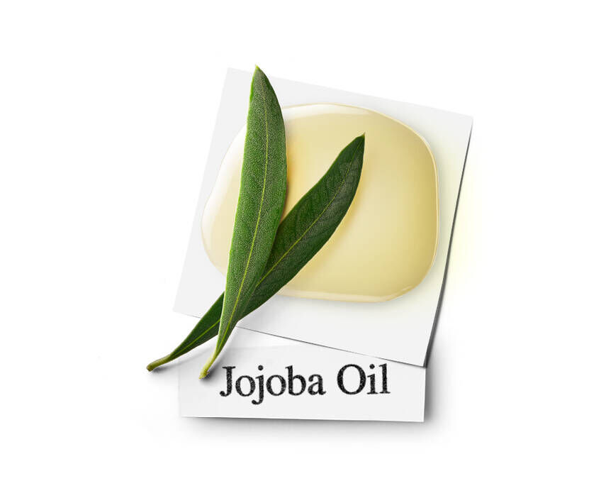 Amino Acid Conditioner | Conditioner with Coconut Oil | Kiehl's